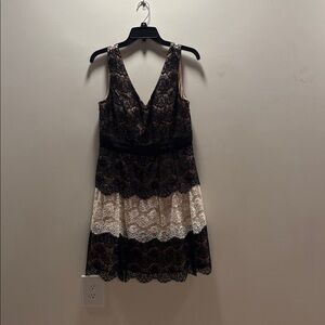 Elegant Black and Cream Lace Dress